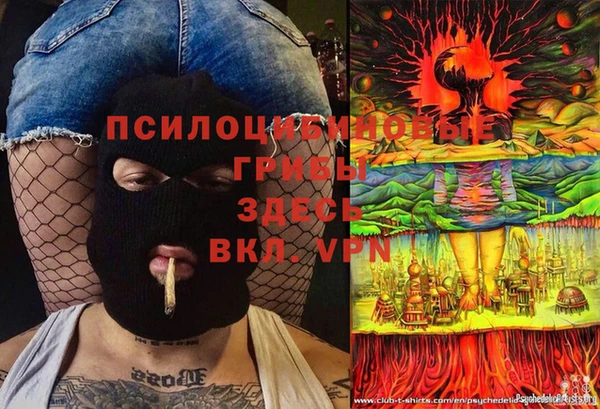 синтетический гашиш Заводоуковск