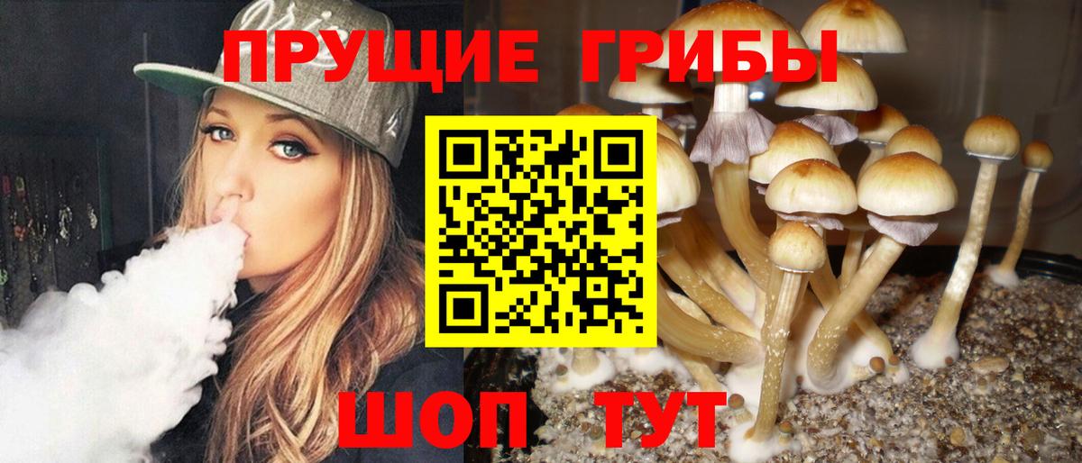 Галлюциногенные грибы ЛСД  закладки  Якутск  Вход с VPN 